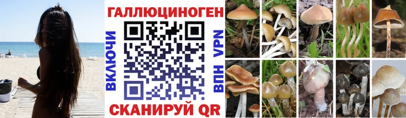 Галлюциногенные грибы GOLDEN TEACHER  наркошоп  MEGA сайт  Чаплыгин 