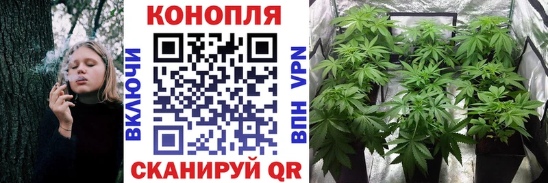 Марихуана White Widow  Чаплыгин 